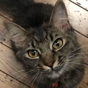 Meet your Posher, Kendra